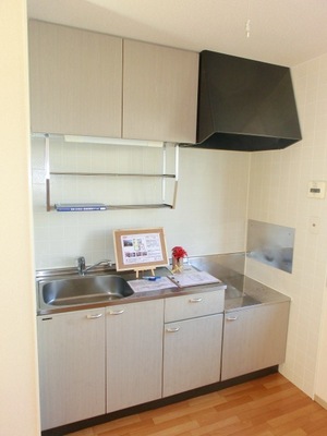 Kitchen. Two-burner gas stove can be installed