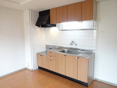 Kitchen. Kitchen with a hanging cupboard.