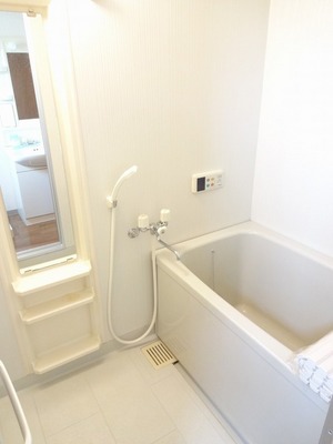 Bath. Simple shades of calm bathroom.