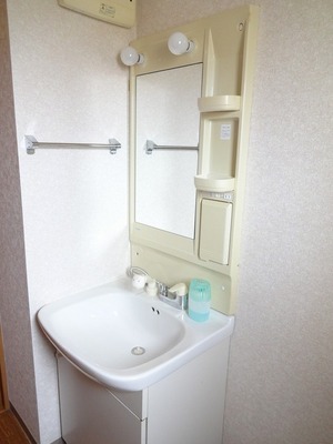 Washroom. Vanity with easy to shampoo dresser also get dressed.