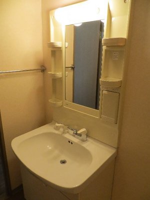 Washroom. Determined by the wash basin if the grooming check!