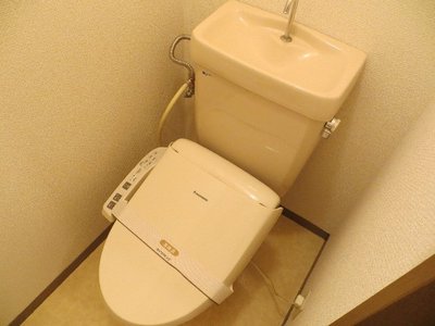 Toilet. Bathroom with a shower