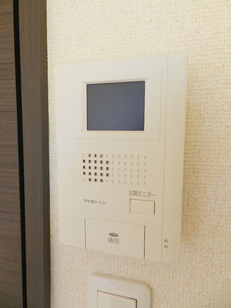 Security. TV monitor with intercom