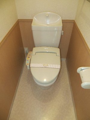 Toilet. Toilet with cleanliness