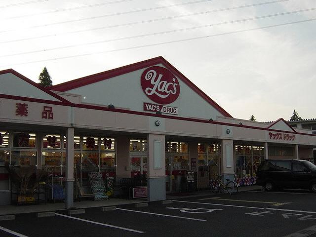 Drug store. Yakkusu 683m to drag Kamatori shop