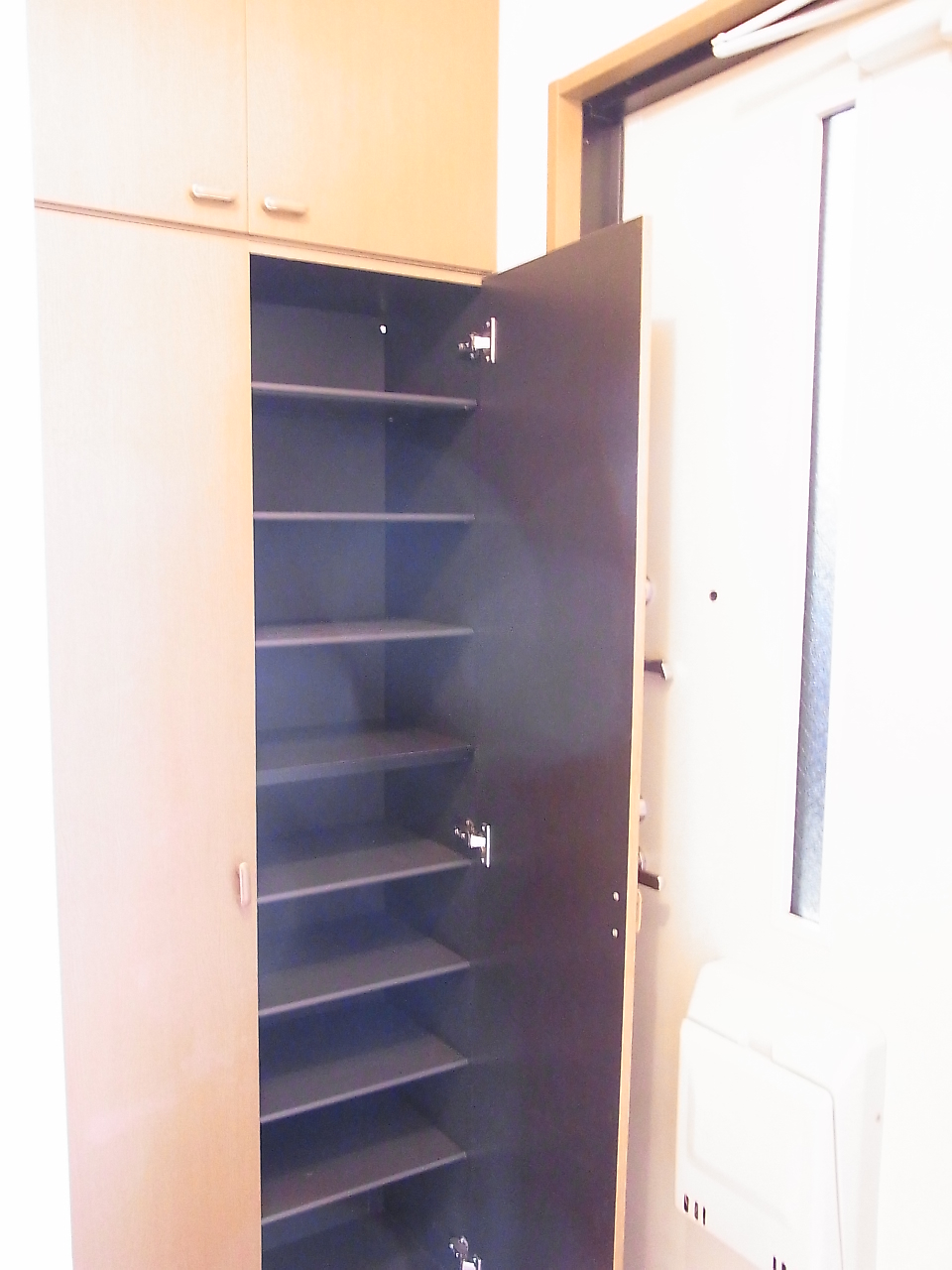 Entrance. Ceiling height shoe box