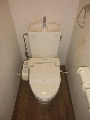 Toilet. Toilet with cleanliness