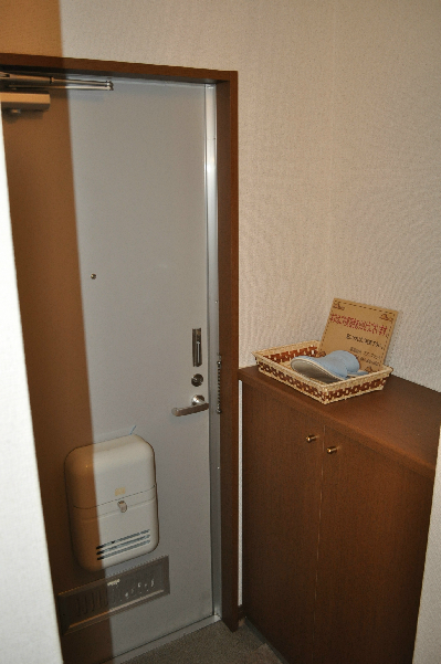 Entrance. Entrance (with shoes BOX)