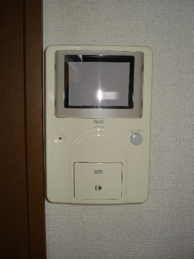 Security. Monitor with intercom