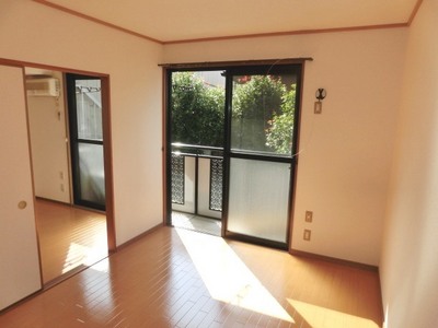 Living and room. Bright DK.