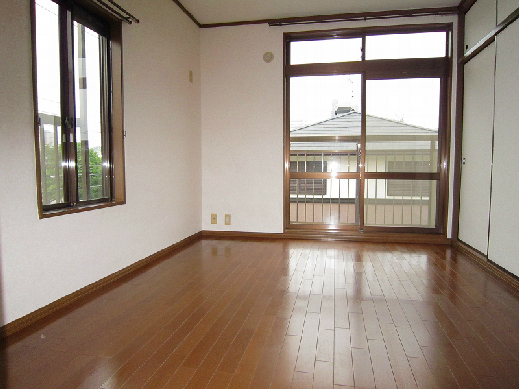 Living and room. Western-style of bright two-sided lighting. 