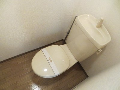 Toilet. Toilet with cleanliness