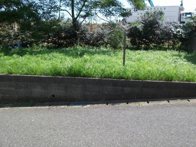 Local photos, including front road