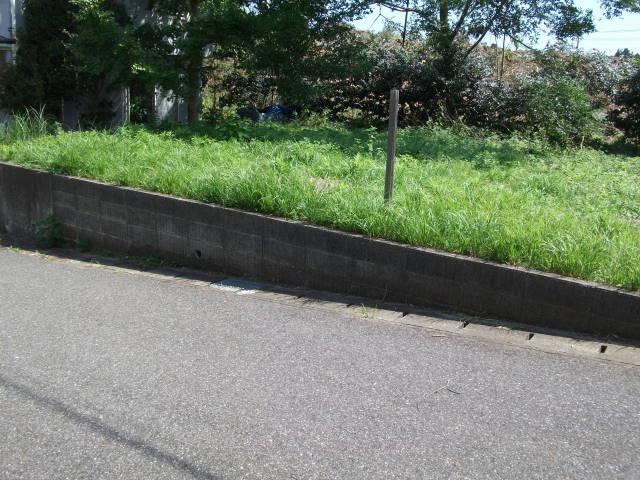 Local photos, including front road