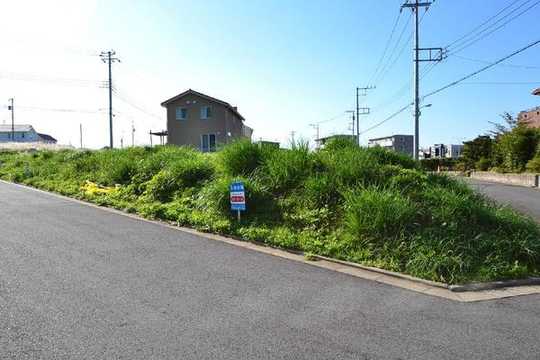 Local land photo. Local photo (East 3-31-10)