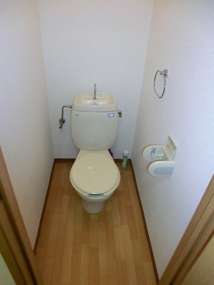 Toilet. Clean toilet