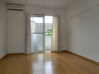 Living and room. Clean room sunny