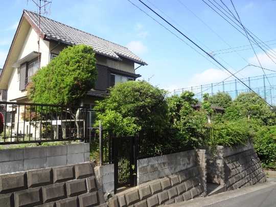 Local land photo. appearance