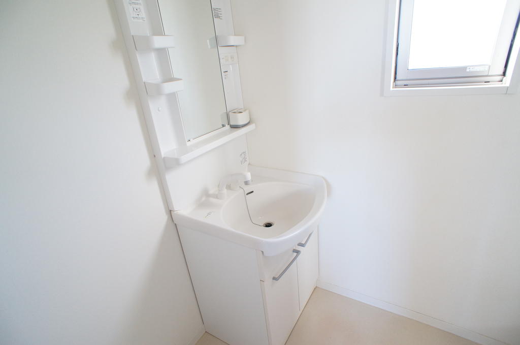 Washroom. Washbasin Shawa