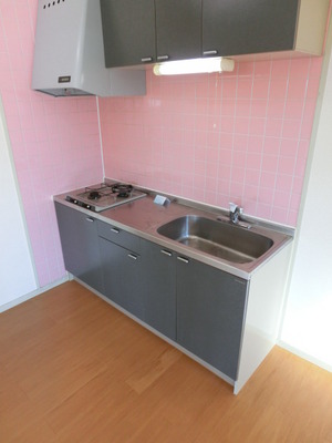 Kitchen. Two-burner stove with system Kitchen