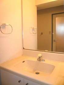 Washroom. Independent wash! A large mirror! 