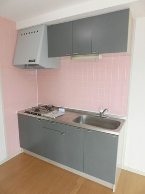 Kitchen. Two-burner gas stove is equipped kitchen.