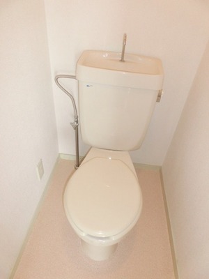 Toilet. Toilet
