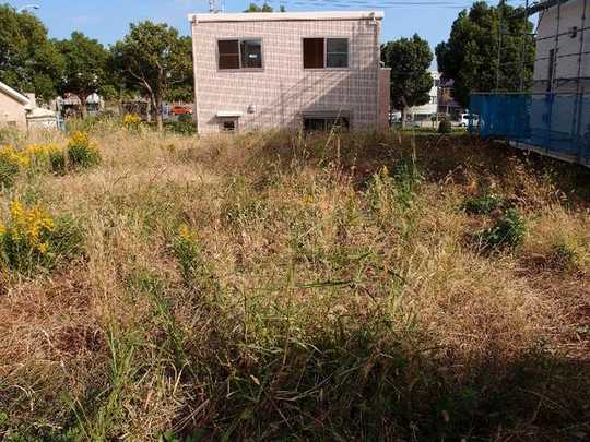 Local land photo. Local Photos