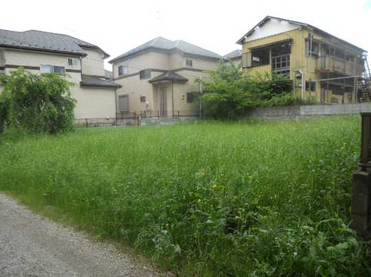 Local land photo. Article