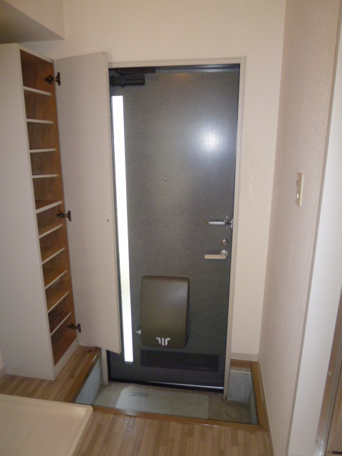 Entrance. Entrance (with shoe box)