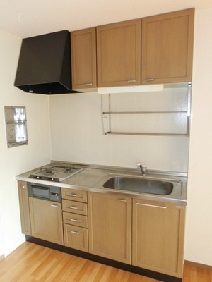 Kitchen. 2 lot gas stoves with kitchen