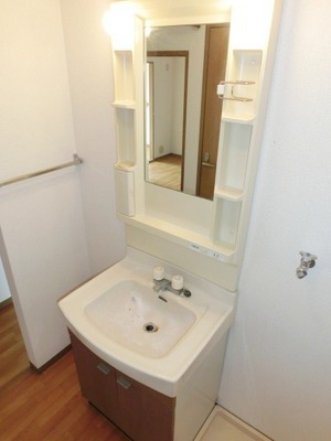 Washroom. Convenient independent vanity