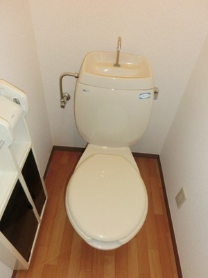 Toilet. Toilet