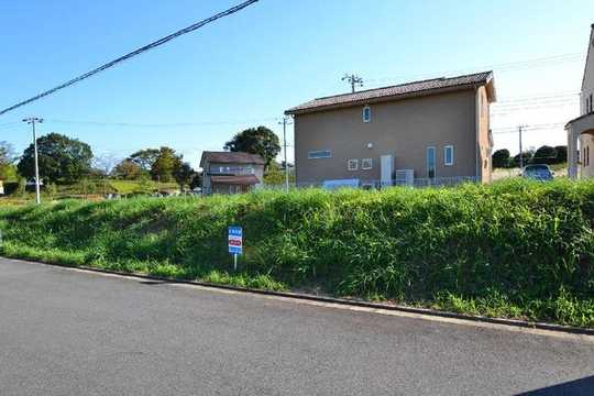 Local land photo. Local photo (east 3-31-8)