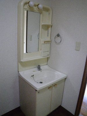 Washroom. Independent wash basin