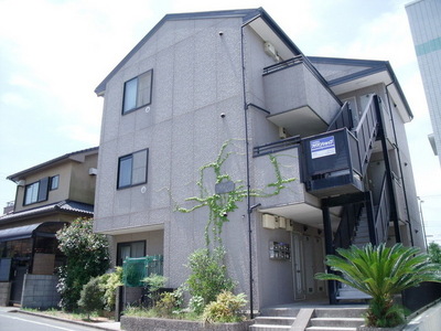 Entrance. Appearance 2