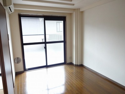 Living and room. Cleaning of easy flooring of living-dining.