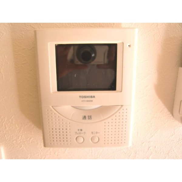 Security. TV monitor Hong