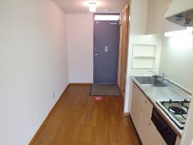 Living and room. Flooring