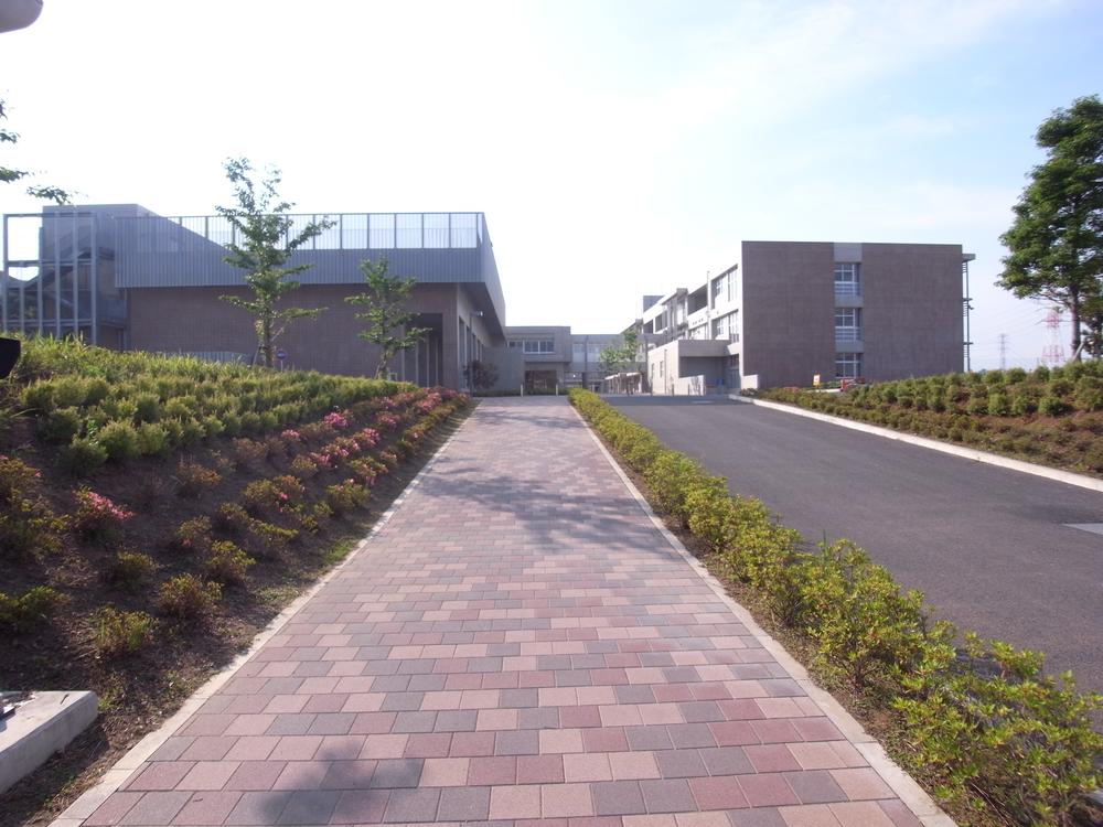 Other. Namami Nominami junior high school