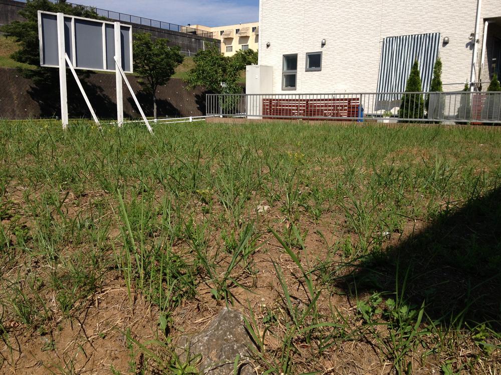 Local land photo. Local (August 2013) Shooting