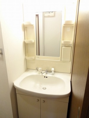 Washroom. Convenient shampoo dresser to get dressed.