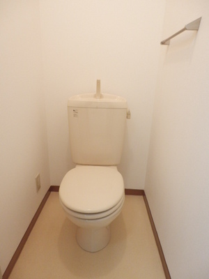 Toilet. It is neat and clean toilet in which the white tones.