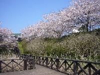 park. Kasori to green space 960m