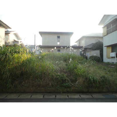 Local land photo. Local Photos