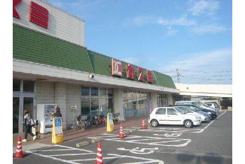 Supermarket. Kasumi Metropolitan Town, to the store 1308m