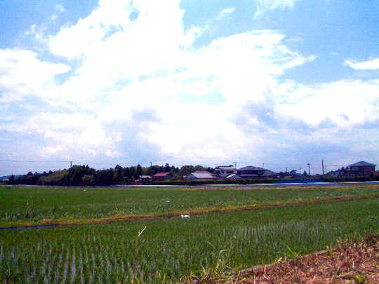 View photos from the local