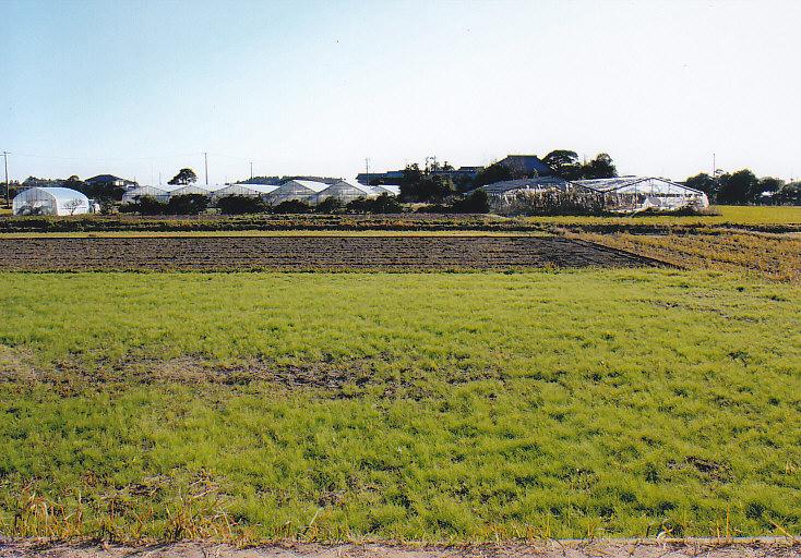 Garden. The south side of the countryside