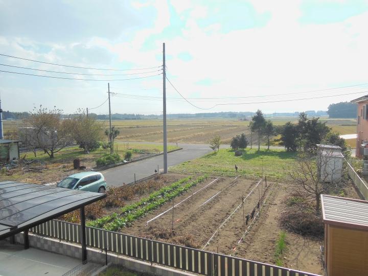 View photos from the dwelling unit. The view from the balcony (south direction)