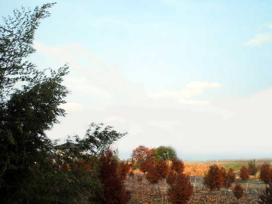 View photos from the local